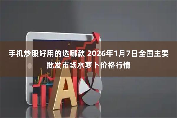 手机炒股好用的选哪款 2026年1月7日全国主要批发市场水萝卜价格行情